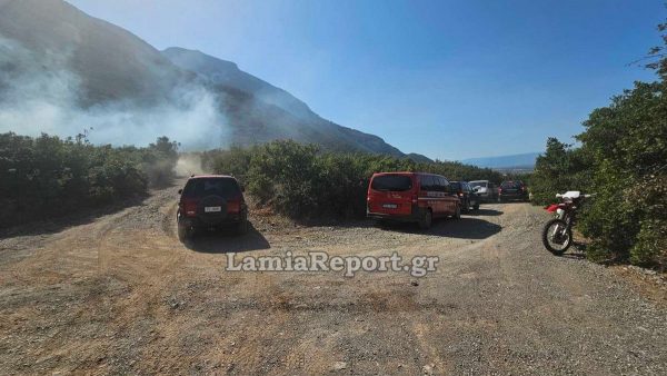 Από βραχυκύκλωμα σε γεννήτρια η πυρκαγιά στο Γοργοπόταμο