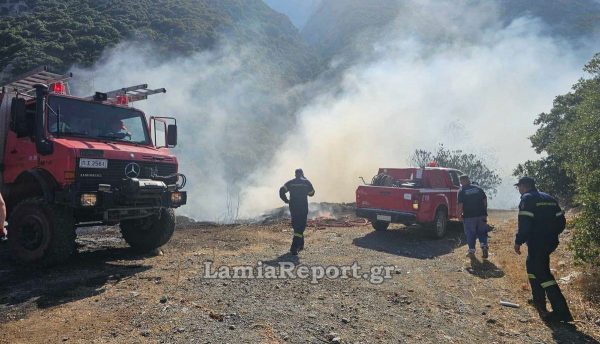Πυρκαγιά στις Κομποτάδες Λαμίας - Σηκώθηκαν εναέρια μέσα