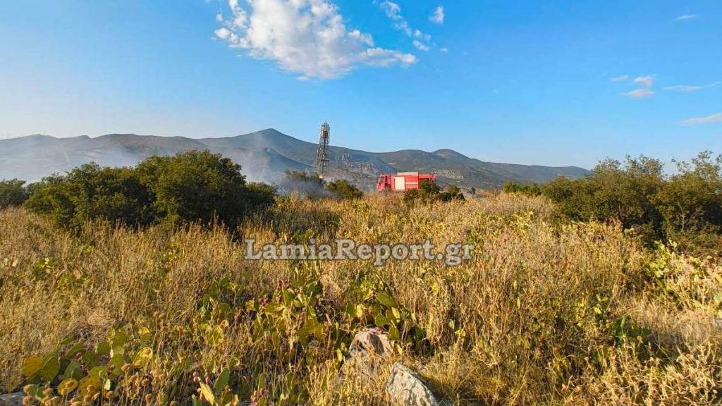 Νέα σύλληψη στη Φθιώτιδα για πρόκληση πυρκαγιάς από αμέλεια