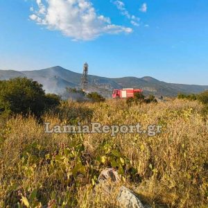 Νέα σύλληψη στη Φθιώτιδα για πρόκληση πυρκαγιάς από αμέλεια