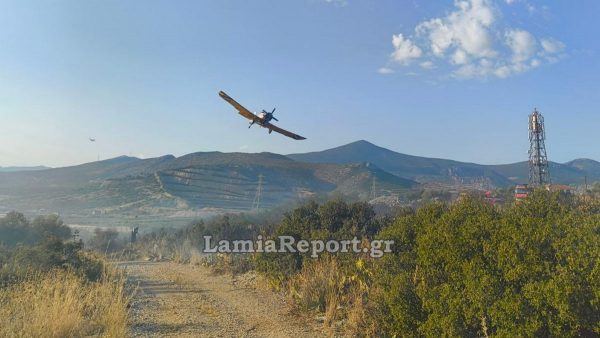 Λαμία: Σύλληψη μελισσοκόμου για την πυρκαγιά στη Μεγάλη Βρύση