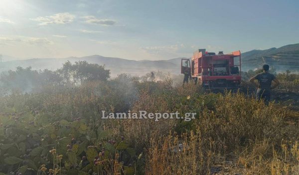 Πρόστιμο για άναμμα φωτιάς στη Φθιώτιδα