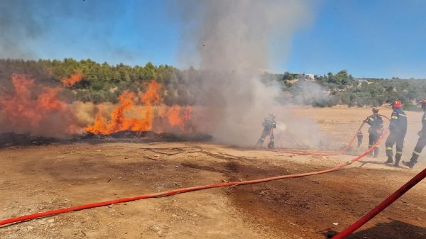 Φθιώτιδα: Επικίνδυνη πυρκαγιά σε σκουπίδια κινητοποίησε την πυροσβεστική - Δείτε εικόνες