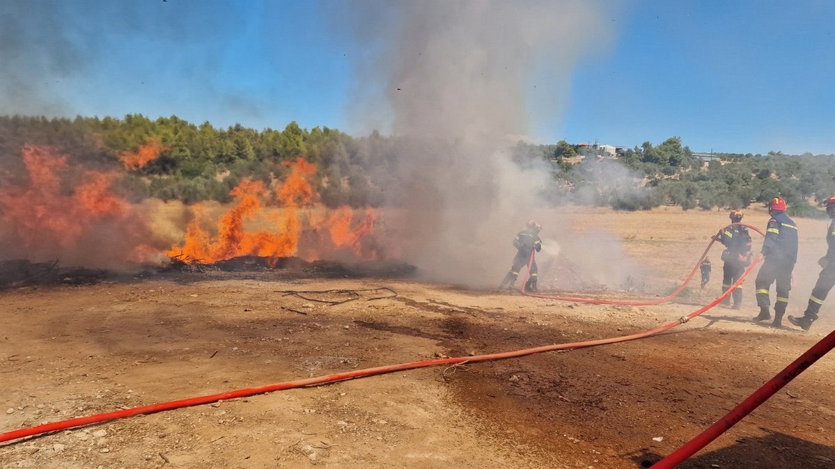Φθιώτιδα: Επικίνδυνη πυρκαγιά σε σκουπίδια κινητοποίησε την πυροσβεστική - Δείτε εικόνες