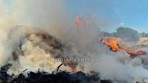 Φθιώτιδα: Πάνω από 3.000 ευρώ πρόστιμο σε άνδρα που έβαλε φωτιά σε σκουπίδια