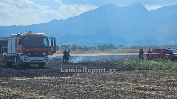 Λαμία: Μία ακόμη πυρκαγιά σε αγροτική έκταση στη νότια Λαμία