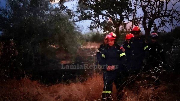 Και τρίτη πυρκαγιά στη νότια Λαμία (ΦΩΤΟ)