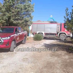 Υψηλός κίνδυνος πυρκαγιάς στη Λοκρίδα