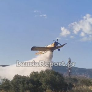 Πυρκαγιά στη Μαριολάτα Φωκίδας - Σηκώθηκαν για ρίψεις τα PZL