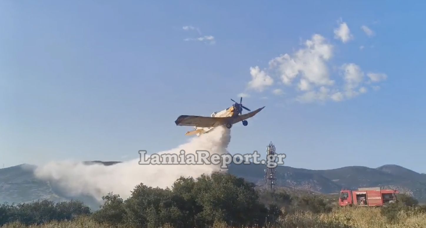 Πυρκαγιά στη Μεγάλη Βρύση Λαμίας - Επενέβησαν επίγειες και εναέριες δυνάμεις (ΒΙΝΤΕΟ-ΦΩΤΟ)