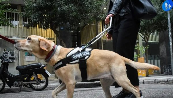Οδηγός αρνήθηκε να επιβιβάσει στο ταξί τυφλή παραολυμπιονίκη με τον σκύλο – συνοδό της: «Εδώ κάνω εγώ κουμάντο»