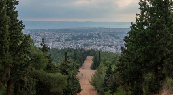 Έσφαξε και έγδαρε αρνί στο Σέιχ-Σου για να τηρήσει ένα έθιμο - Δίωξη σε 52χρονο