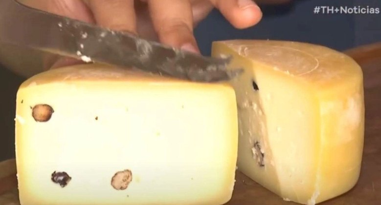 Η νέα παγκόσμια γαστρονομική επιτυχία που κάνει πάταγο: Τυρί με... καβουρδισμένα μυρμήγκια!(ΒΙΝΤΕΟ)