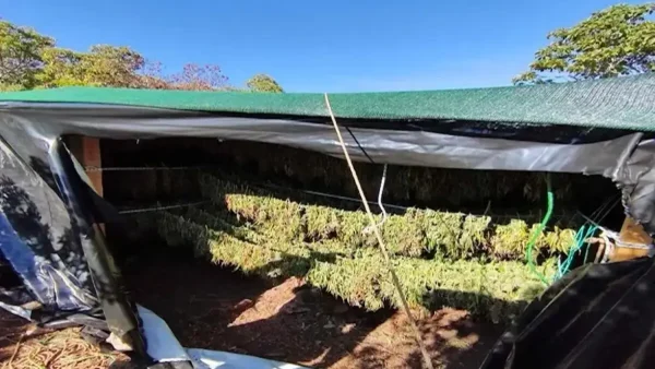 Ένας εκ των συλληφθέντων του κυκλώματος ναρκωτικών με κέρδη 8 εκατ. ευρώ είχε πυροβολήσει αστυνομικό το 2012