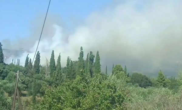 Κεφαλονιά: Πυρκαγιά στα Μεταξάτα Κεφαλονιάς