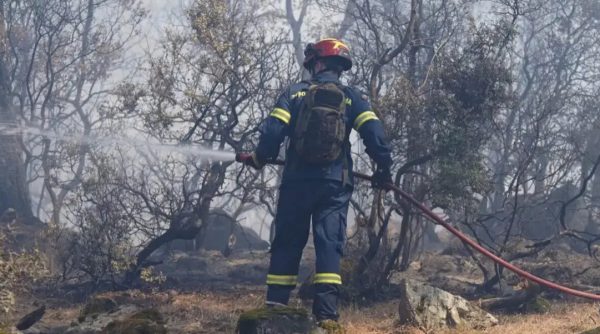 Λέσβος: 18 μήνες φυλακή σε 20χρονο για τη μεγάλη πυρκαγιά στη Βρίσα – Του αναγνωρίστηκαν ελαφρυντικά