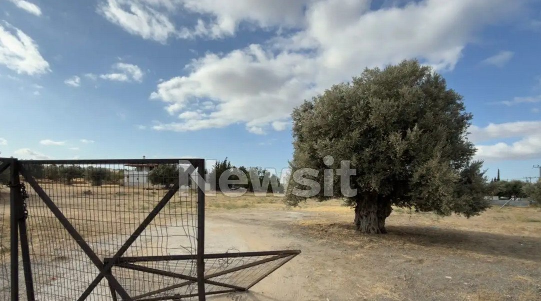 Μεταμόρφωση: Βίντεο ντοκουμέντο από τη στιγμή με τα μαχαιρώματα σε κρητικό γλέντι – «Μου την “έδωσε” ένας από πίσω»