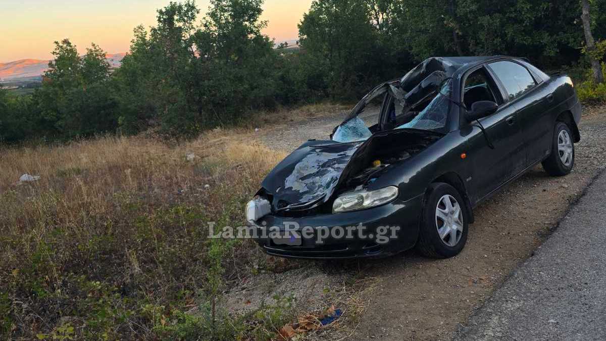 Τροχαίο με αγελάδα στη Φθιώτιδα - Τραυματίστηκε σοβαρά μια γυναίκα - Δείτε εικόνες