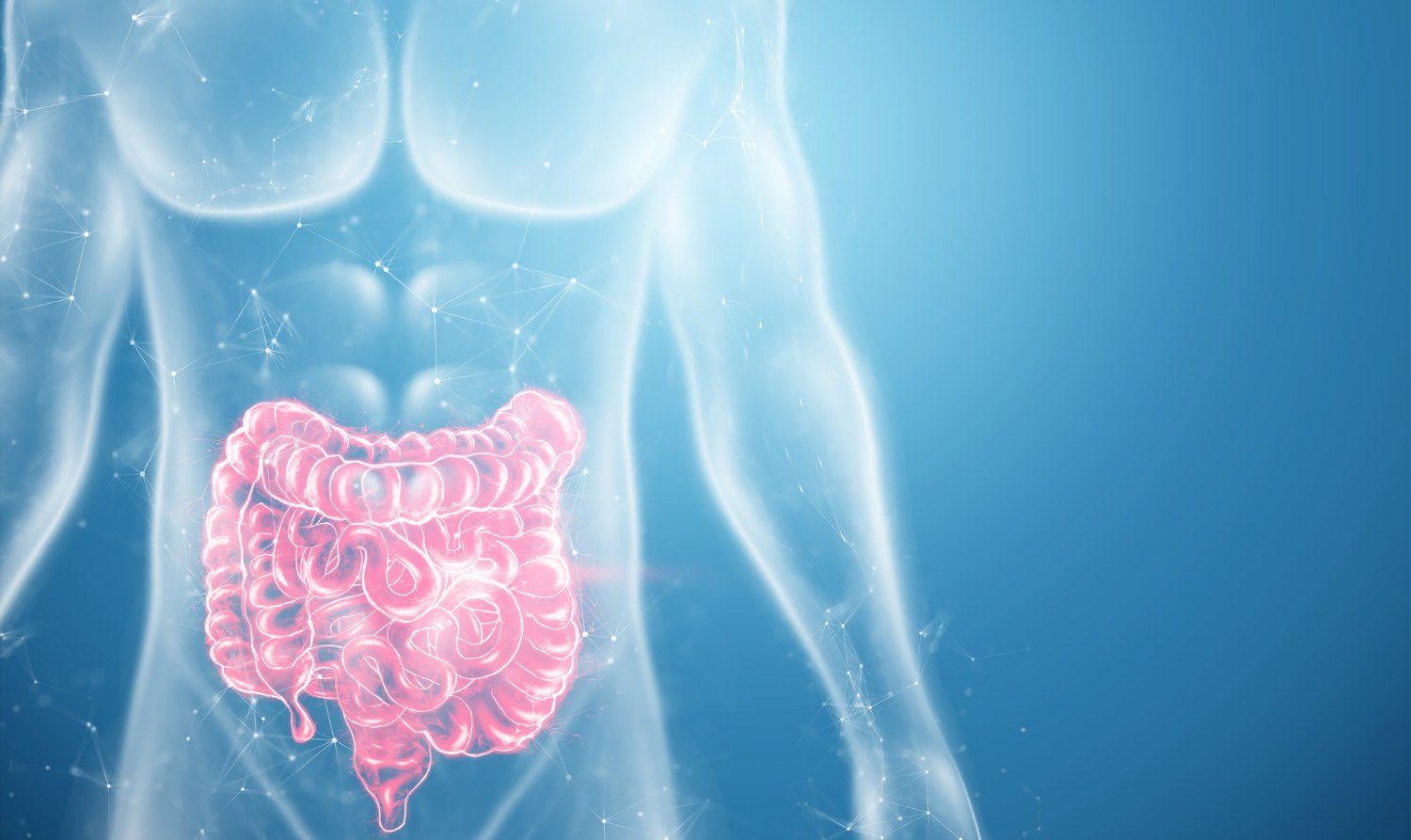 Οι 8 συνήθειες που θα βελτιώσουν την υγεία του εντέρου σας