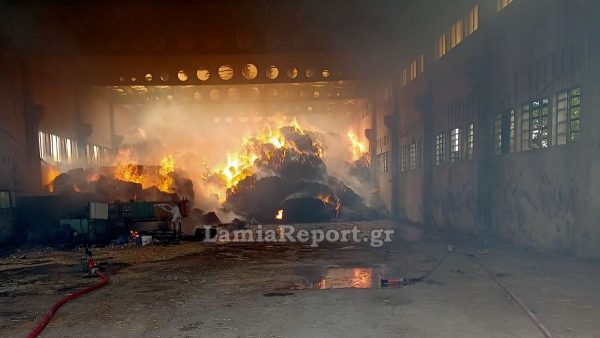 Μεγάλη καταστροφή στον Αυλώνα σε αποθήκη με ζωοτροφές (ΒΙΝΤΕΟ-ΦΩΤΟ)