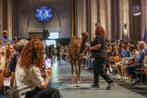 Νέα Υόρκη: Εκατοντάδες πιστοί ευλόγησαν τα… αγαπημένα τους ζώα – Καμήλες, παπαγαλάκια και άλογα κατέκλυσαν καθεδρικό ναό