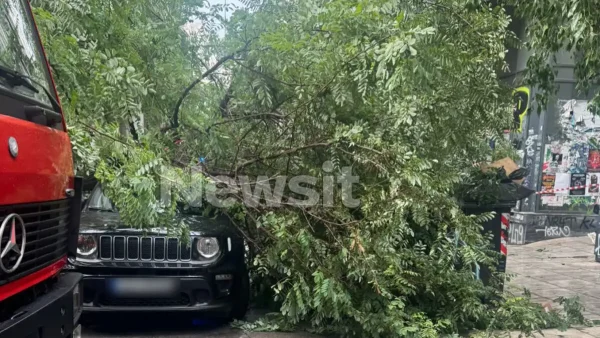 Δέντρο έπεσε από την κακοκαιρία στο κέντρο της Αθήνας – Ένας ελαφρά τραυματίας