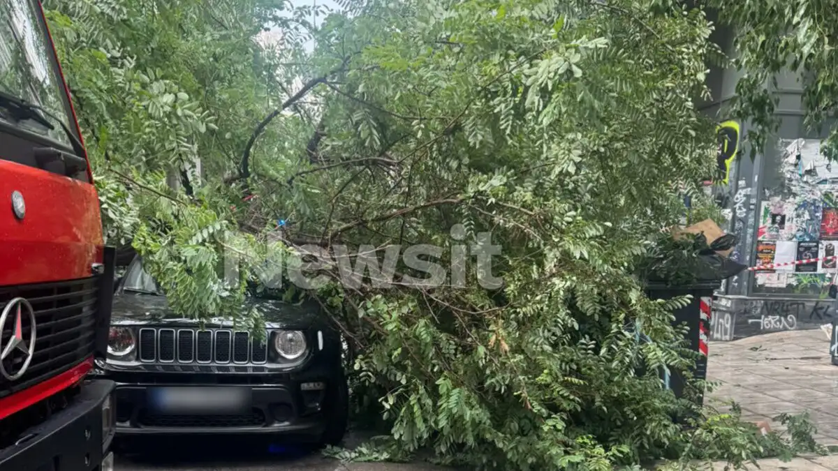 Δέντρο έπεσε από την κακοκαιρία στο κέντρο της Αθήνας – Ένας ελαφρά τραυματίας