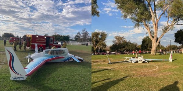 Καλιφόρνια: Μικρό αεροπλάνο έκανε αναγκαστική προσγείωση σε πάρκο, έπεσε πάνω σε περαστική (BINTEO)