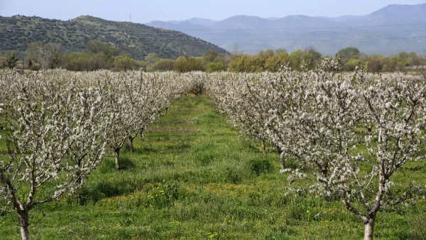 ΟΠΕΚΕΠΕ: Ελεύθεροι με περιοριστικούς όρους 11 κατηγορούμενοι για τις παράνομες επιδοτήσεις