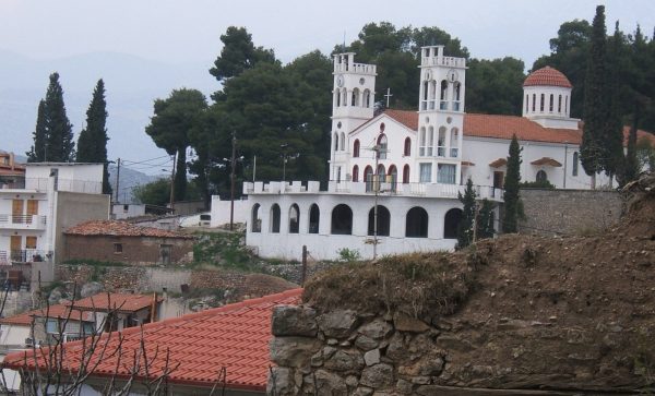 Δεσφίνα: Πέντε ζώα θανατώθηκαν από φόλες