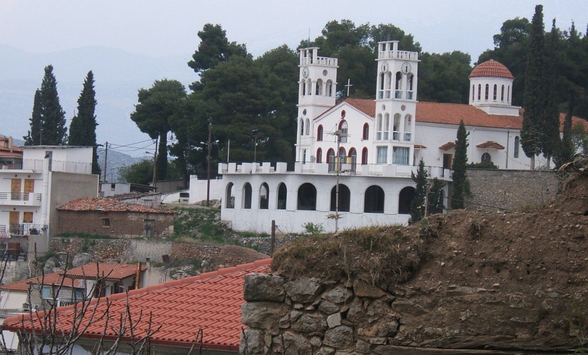 Δεσφίνα: Πέντε ζώα θανατώθηκαν από φόλες