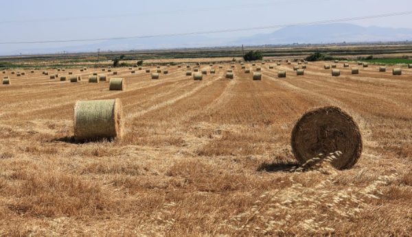 Μέτρο 23: Βγήκαν τα οριστικά αποτελέσματα, πότε ξεκινά η πληρωμή