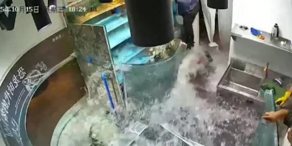 «Πλημμύρισε» από ψάρια εστιατόριο στην Κίνα - Έσπασε γιγαντιαίο ενυδρείο μπροστά στους πελάτες - Σοκαριστικό βίντεο