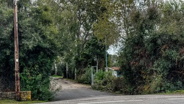 Φοινικούντα: Στα δικαστήρια της Καλαμάτας ο ανιψιός του 68χρονου και η σύντροφός του