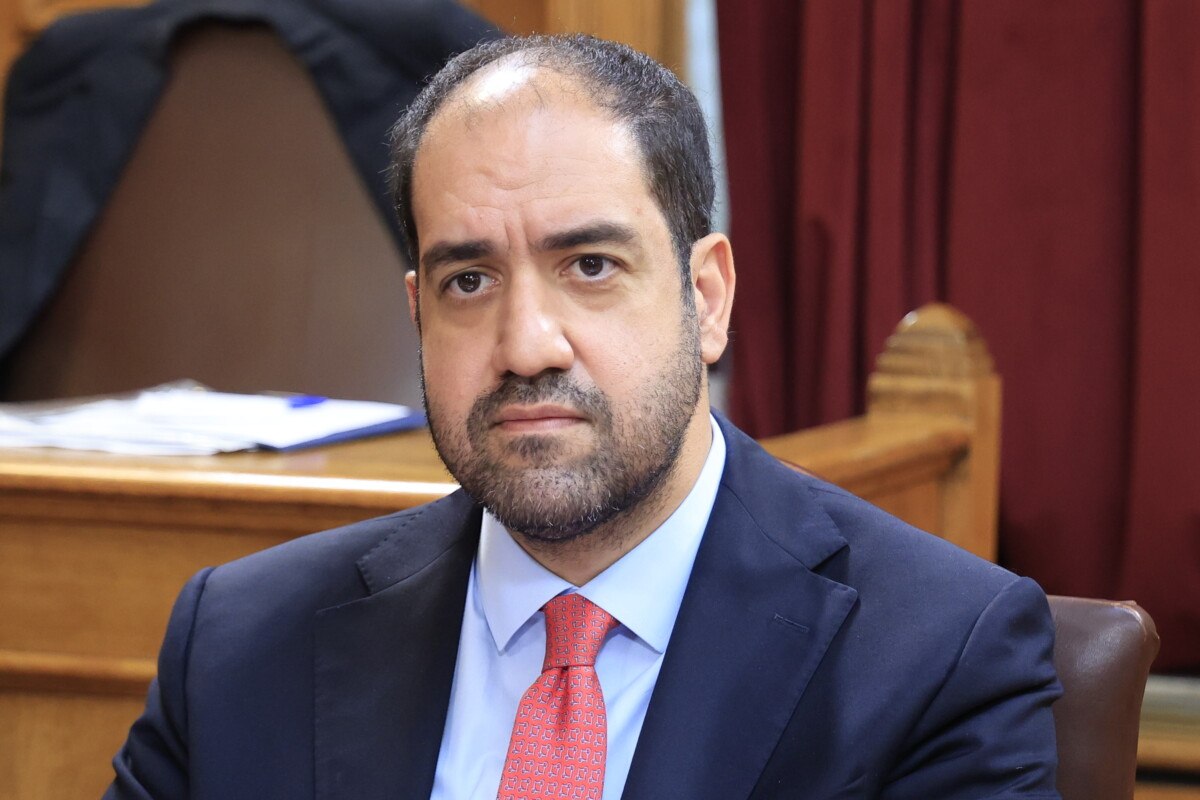 Κεφαλογιάννης: Η Ελλάδα ήταν από τις ελάχιστες χώρες στην Ευρώπη με λιγότερες καμένες εκτάσεις σε σχέση με τον μέσο όρο της 20ετίας