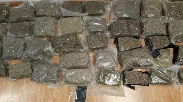 28χρονος προσπάθησε να περάσει 19 κιλά κάνναβης μέσα σε βαλίτσα στο «Ελ. Βενιζέλος» - Δείτε φωτογραφία