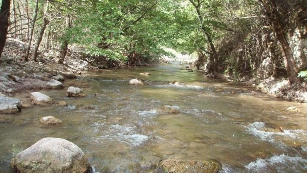 Αντίθετος ο Δήμος Καρπενησίου στο έργο «Εύρυτος» - Ζητεί άμεση συνάντηση & ενημέρωση