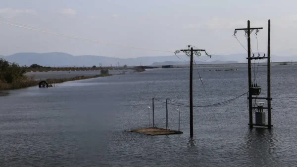 Αγρότες: Ακατάσχετες οι ενισχύσεις για ζωοτροφές και φερτά υλικά για Daniel – Στρατιωτικοί κτηνίατροι για την προστασία του ζωικού κεφαλαίου