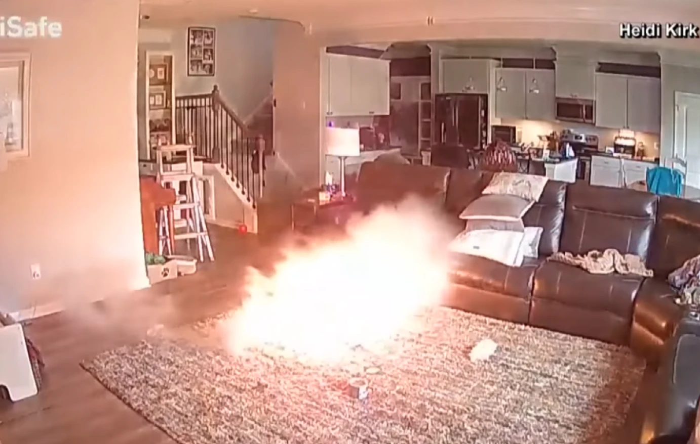 ΗΠΑ: Σκύλος έβαλε φωτιά σε σπίτι πυροσβέστη – Δείτε το βίντεο