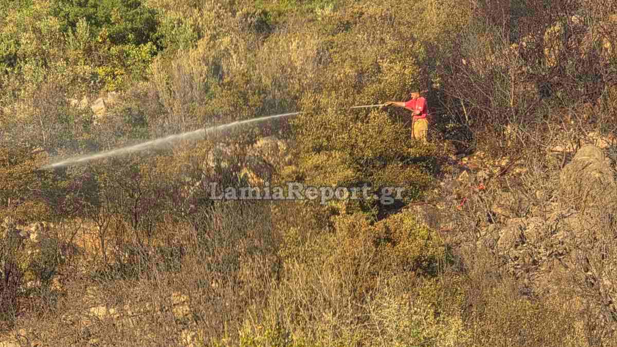 Επικίνδυνη πυρκαγιά στον Έξαρχο - Μεγάλη κινητοποίηση της Πυροσβεστικής (ΦΩΤΟ)