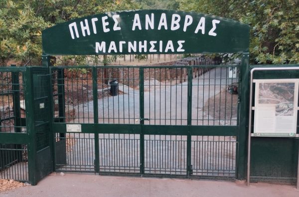 Ο Δήμος Αλμυρού βάζει τέλος στα γουρούνια που κυκλοφορούν ανεπιτήρητα στην Ανάβρα