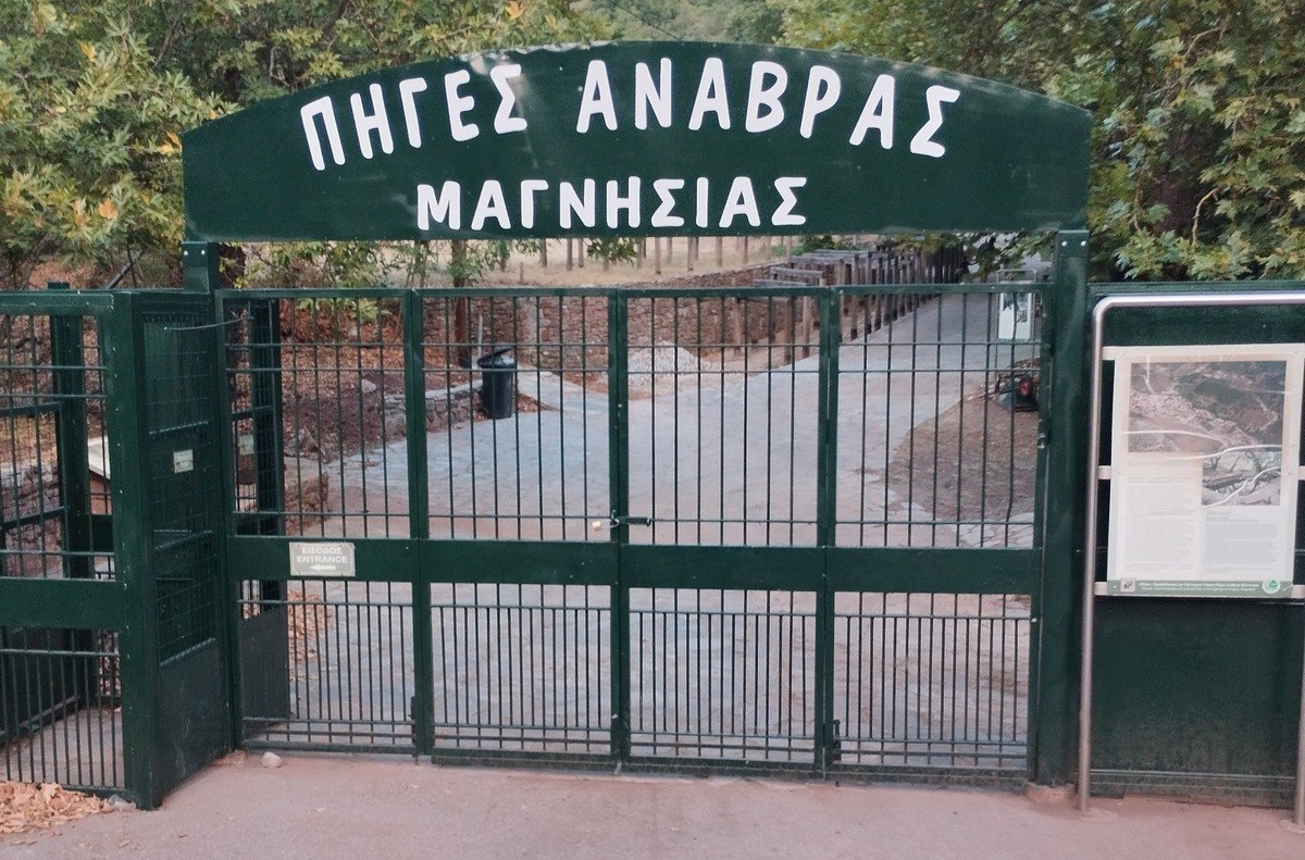 Ο Δήμος Αλμυρού βάζει τέλος στα γουρούνια που κυκλοφορούν ανεπιτήρητα στην Ανάβρα