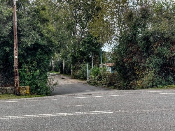 Μεσσηνία: Ο επιστάτης έκανε πλάκα με τον εκτελεστή δευτερόλεπτα πριν σκοτωθεί - "Πού πάει αυτό;"