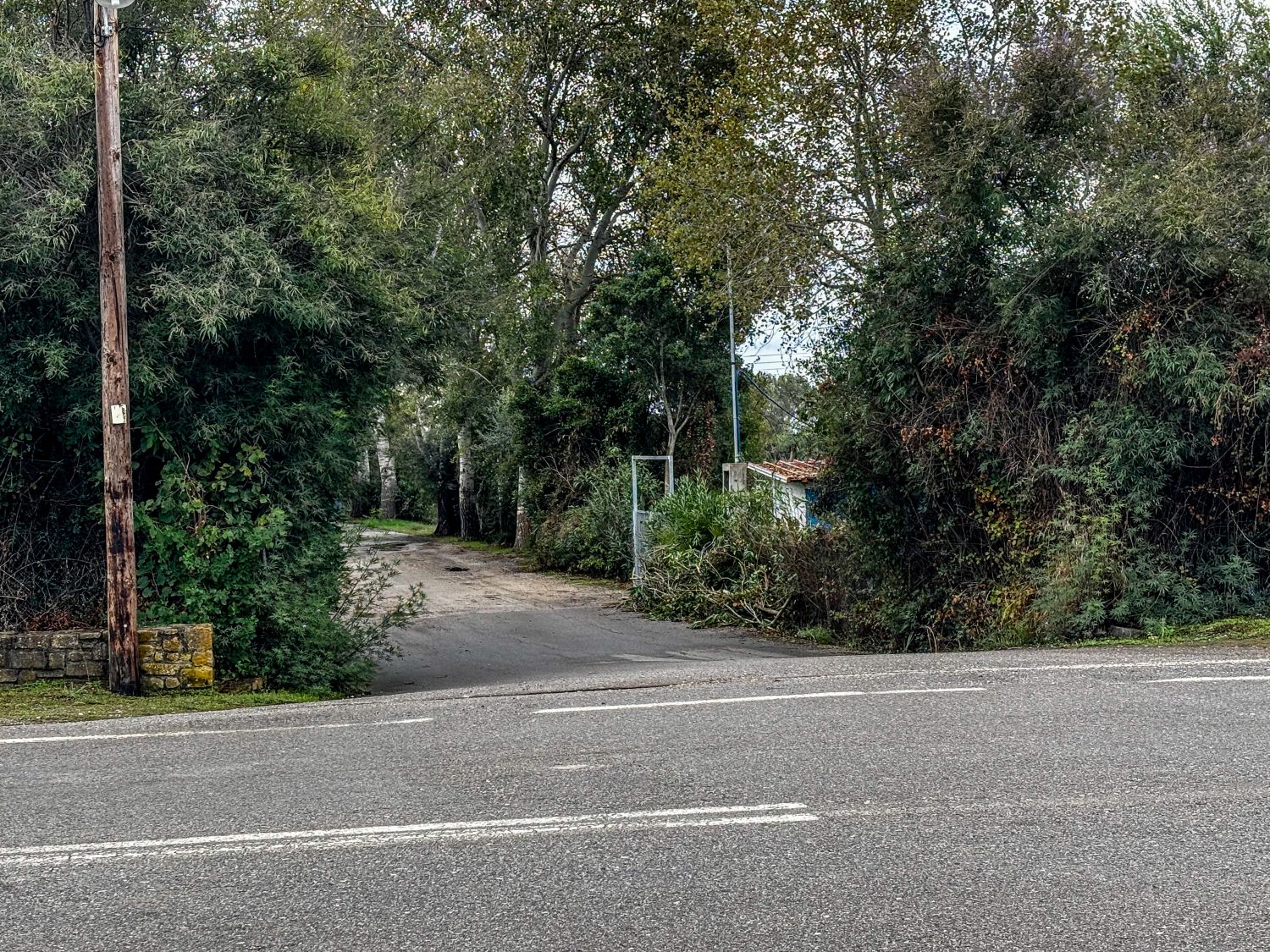 Φοινικούντα: «Τον έμπλεξε ο φίλος του, δεν είναι εκείνος που σκότωσε», λένε συγγενείς του φερόμενου δράστη της διπλής δολοφονίας