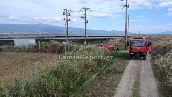Συναγερμός για πυρκαγιά σε φωτοβολταϊκά στην Ανθήλη (ΦΩΤΟ)