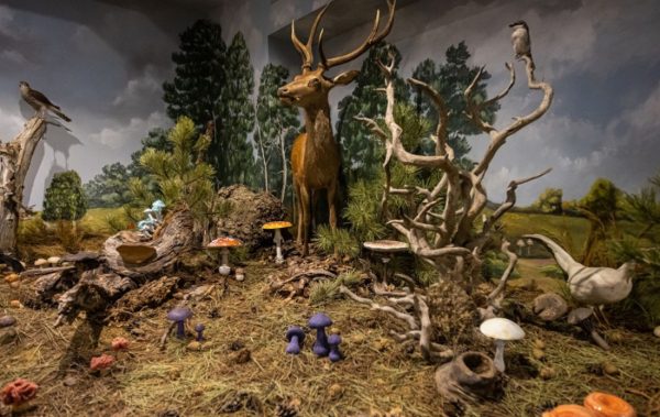 Το Μουσείο που σπάει ρεκόρ: 100+ βραβεία σε μόλις 10 χρόνια!