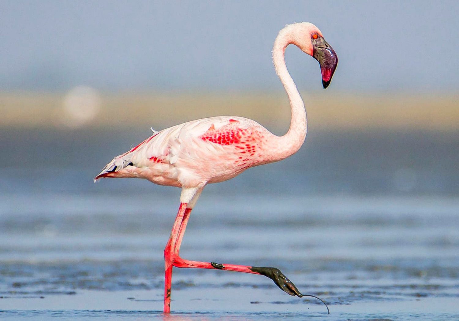 Πόση ώρα μπορείς να σταθείς στο ένα πόδι; Το τεστ που αποκαλύπτει τη βιολογική ηλικία