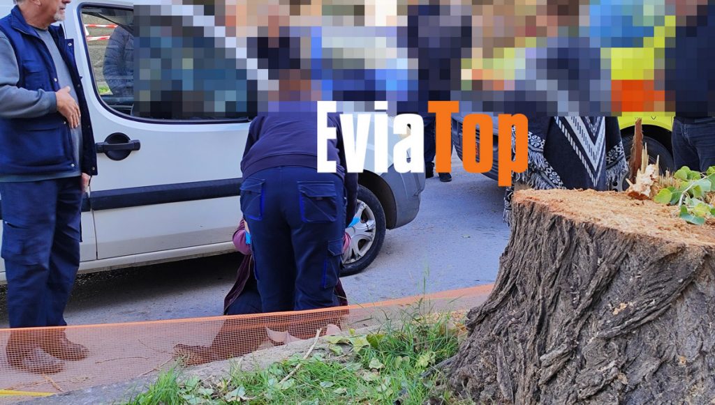 Χαλκίδα: Αυτοκίνητο που κινούνταν ανάποδα στο δρόμο παρέσυρε πεζή