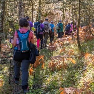 Πραγματοποιήθηκε η 1η Διάσχιση του Μονοπατιού Εθνικής Αντίστασης