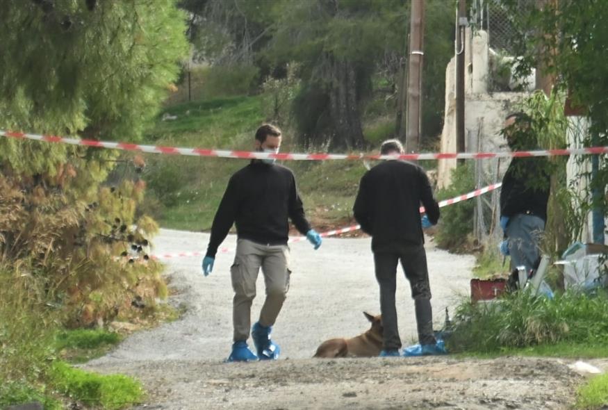 Σαλαμίνα: «Αφού στα έδωσα τα λεφτά, φύγε μην με σκοτώσεις» έλεγε η 75χρονη πριν την δολοφονήσει η 46χρονη νύφη της